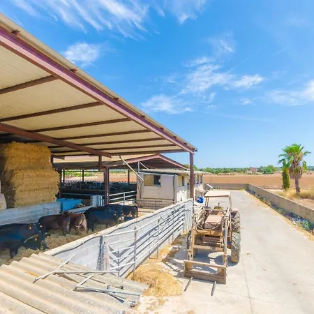 Sa Caseta De Ses Vaques.son Covas Campos (Mallorca)